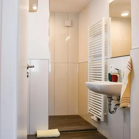 Apartment Ferienwohnung Dina 2 Haslach im Kinzigtal